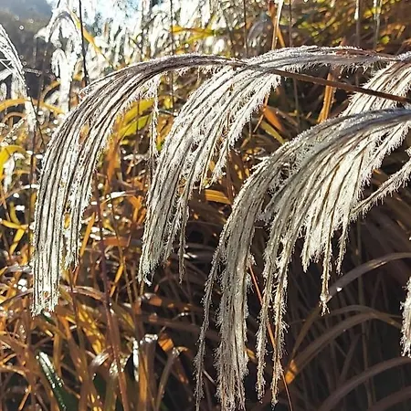 Apartmán Morski Brzeg - Sauna, Balia