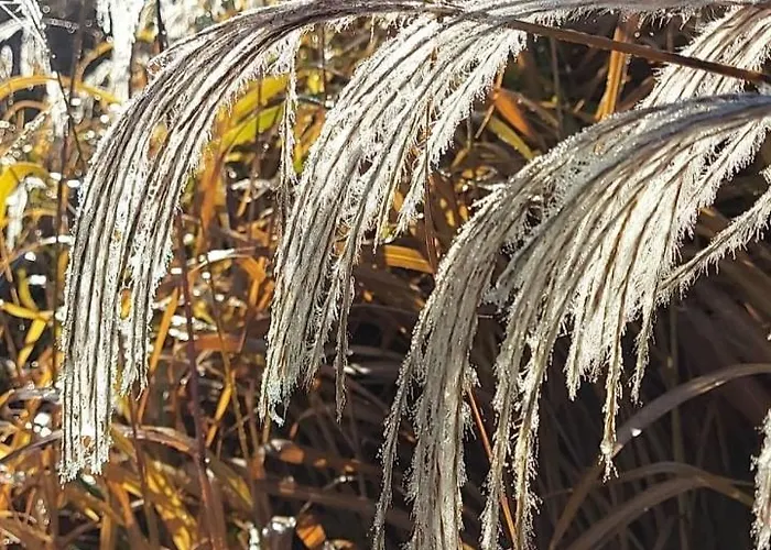 Lägenhet Morski Brzeg - Sauna, Balia